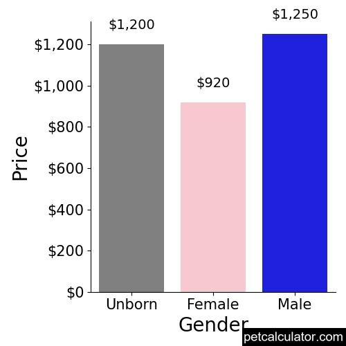 Price of Spanish Mastiff by Gender 
