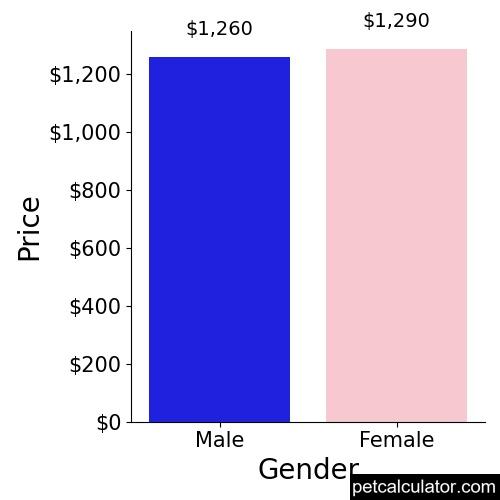Price of Spinone Italiano by Gender 