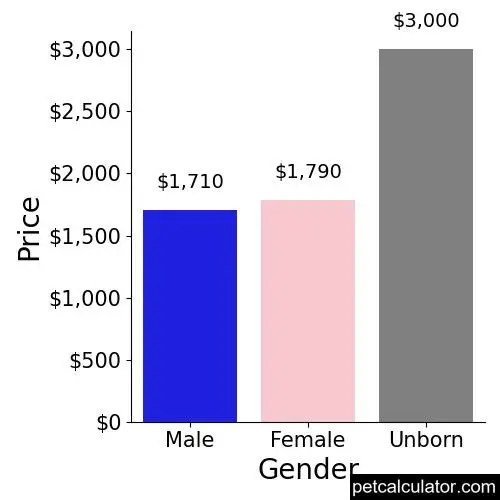 Price of Staffordshire Bull Terrier by Gender 