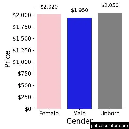 Price of Standard Poodle by Gender 
