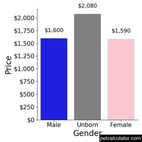 Price of Standard Schnauzer by Gender 
