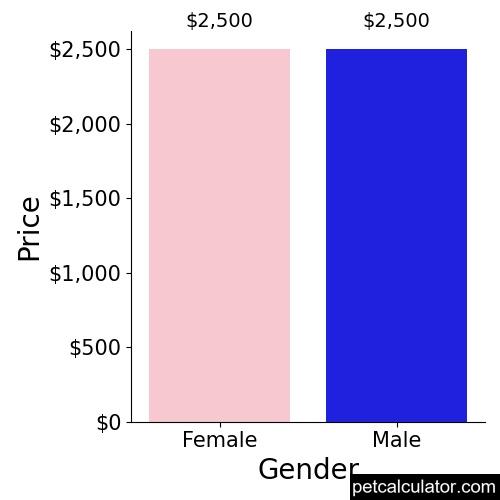Price of Swedish Vallhund by Gender 