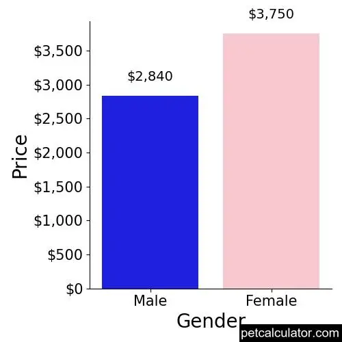 Price of Thai Ridgeback by Gender 