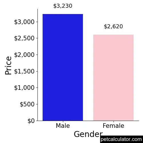 Price of Tibetan Mastiff by Gender 