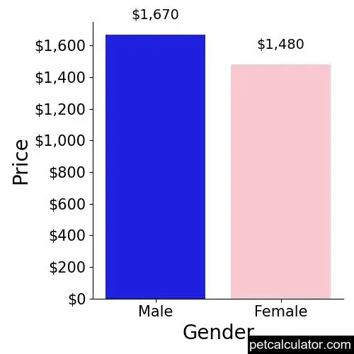 Price of Tibetan Spaniel by Gender 