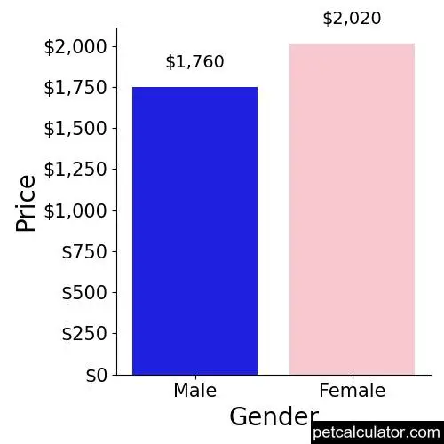 Price of Toy Australian Shepherd by Gender 