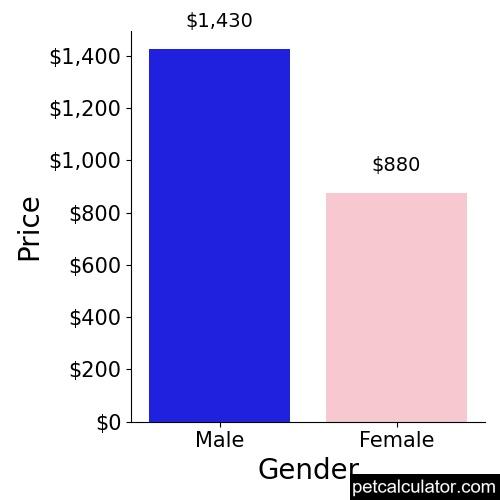 Price of Toy Dachshund by Gender 