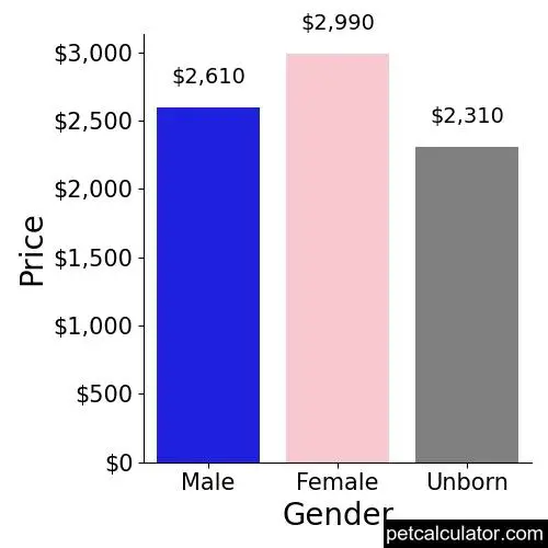 Price of Toy Poodle by Gender 