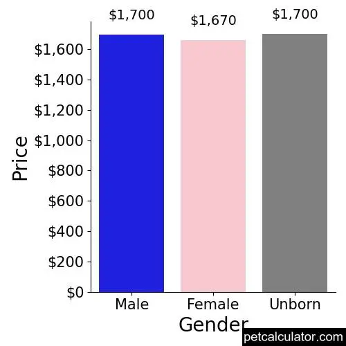 Price of Vizsla by Gender 