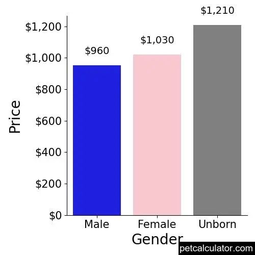 Price of Weimaraner by Gender 