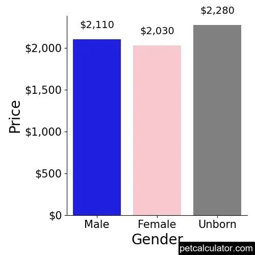 Price of West Highland White Terrier by Gender 