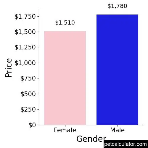 Price of Westiepoo by Gender 