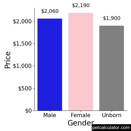 Price of Whippet by Gender 