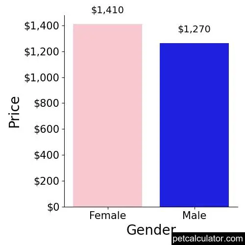 Price of Wirehaired Pointing Griffon by Gender 