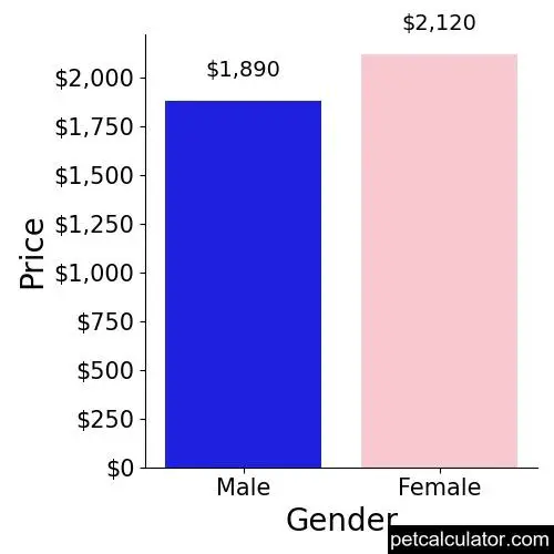 Price of Xoloitzcuintli by Gender 