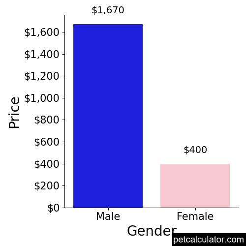 Price of Yorkie Apso by Gender 