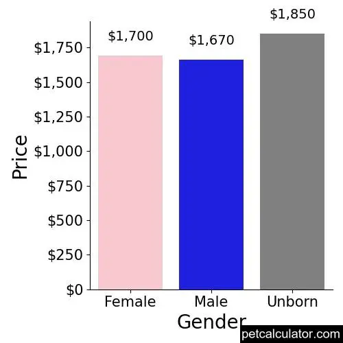 Price of Yorkipoo by Gender 
