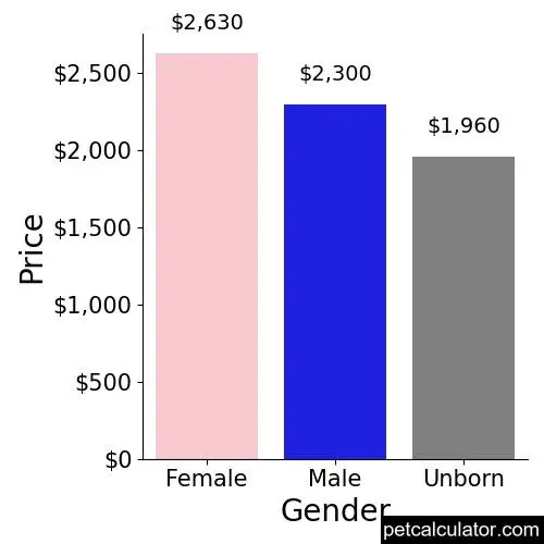 Price of Yorkshire Terrier by Gender 