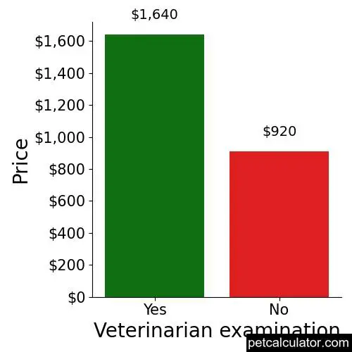 Price of Olde Boston Bulldogge by Veterinarian examination 
