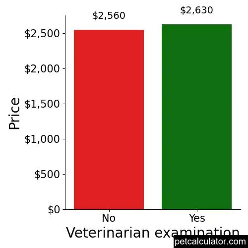 Price of Olde English Bulldogge by Veterinarian examination 