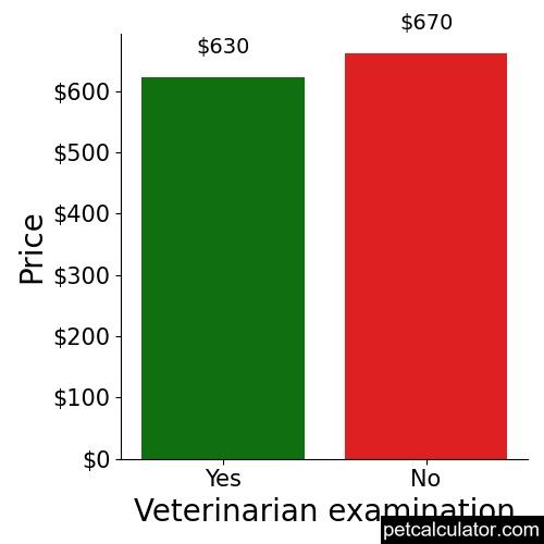 Price of Patterdale Terrier by Veterinarian examination 