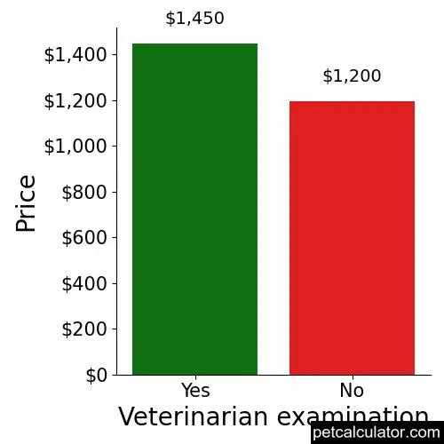Price of Peek A Poo by Veterinarian examination 