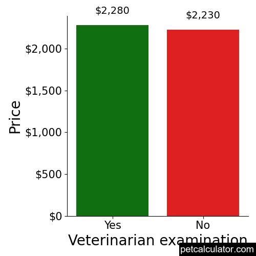 Price of Pomsky by Veterinarian examination 