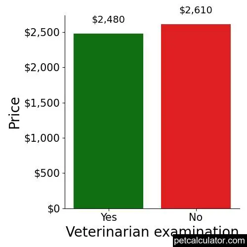 Price of Portuguese Water Dog by Veterinarian examination 