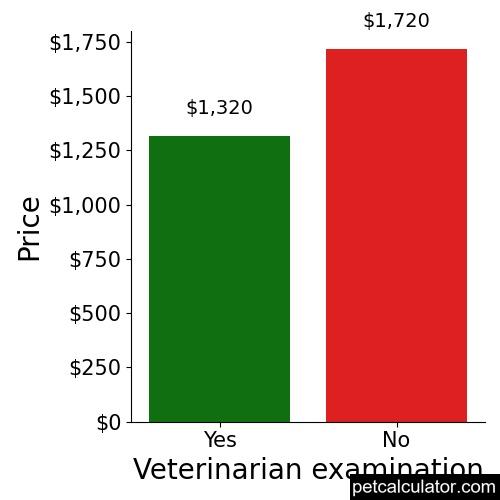 Price of Puggle by Veterinarian examination 