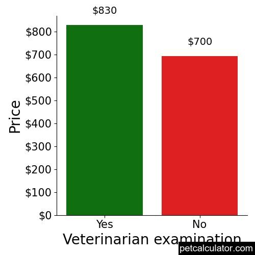 Price of Rat Terrier by Veterinarian examination 
