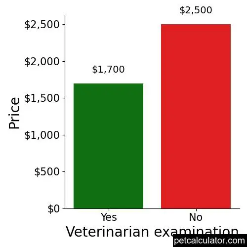 Price of Russian Toy by Veterinarian examination 