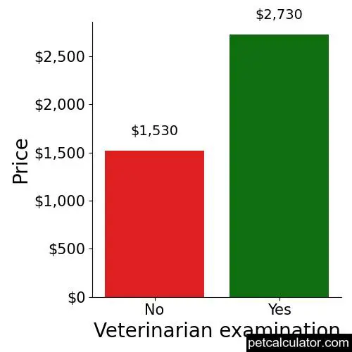 Price of Shepadoodle by Veterinarian examination 