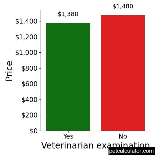 Price of Shetland Sheepdog by Veterinarian examination 