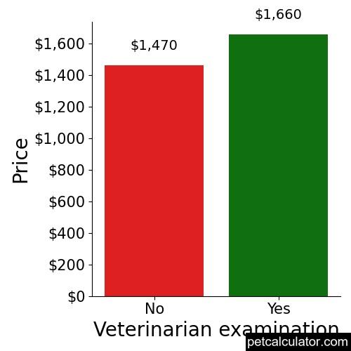 Price of Shihpoo by Veterinarian examination 