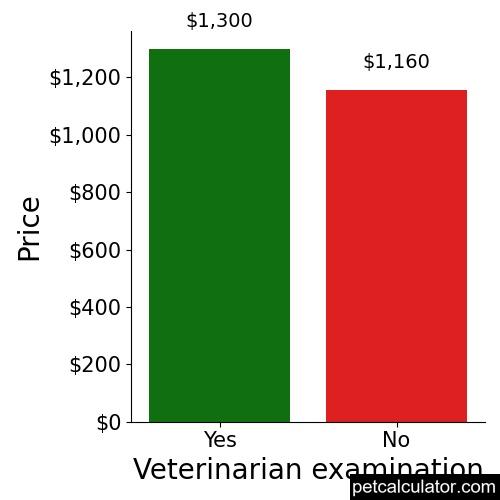 Price of Shorkie Tzu by Veterinarian examination 