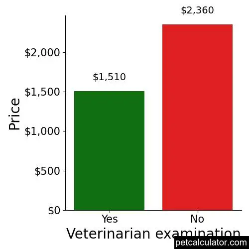 Price of Silky Terrier by Veterinarian examination 