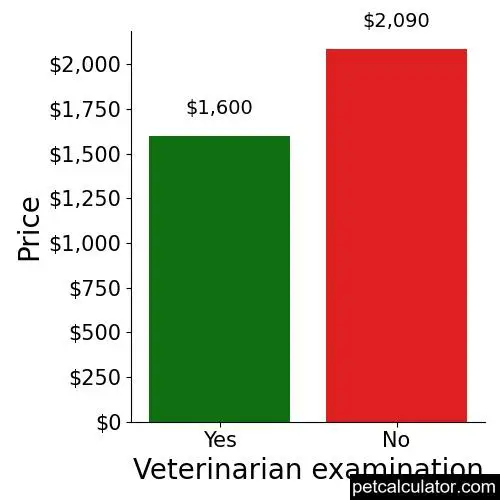 Price of Smooth Fox Terrier by Veterinarian examination 