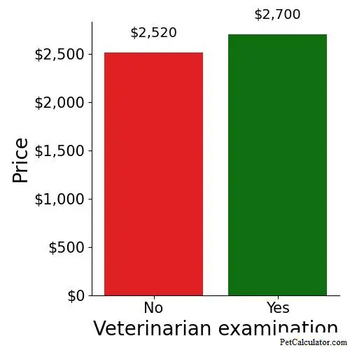 Price of South African Boerboel by Veterinarian examination 
