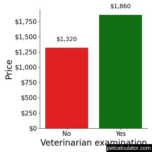 Price of Standard Schnauzer by Veterinarian examination 