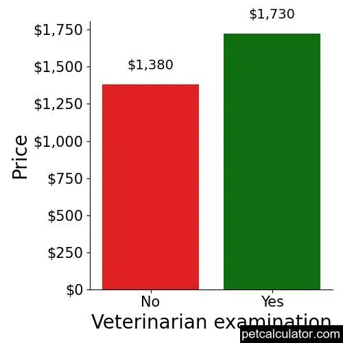 Price of Tibetan Spaniel by Veterinarian examination 