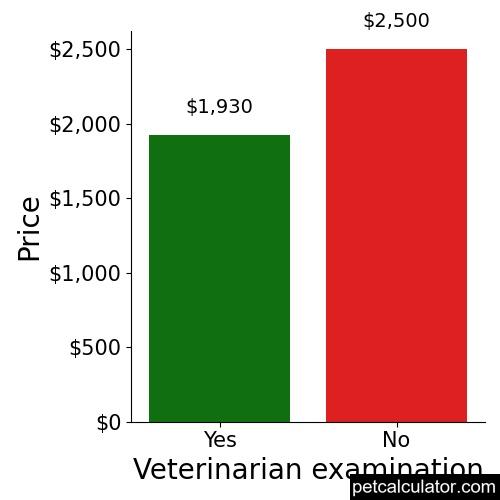 Price of Tibetan Terrier by Veterinarian examination 