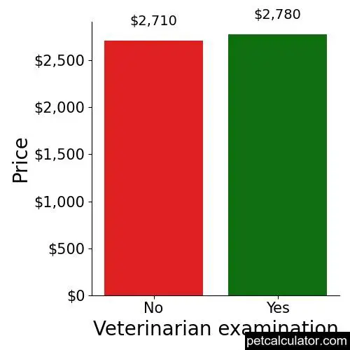 Price of Toy Poodle by Veterinarian examination 