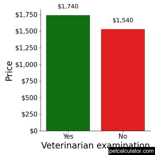Price of Vizsla by Veterinarian examination 
