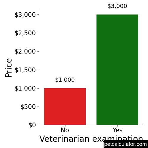 Price of Volpino Italiano by Veterinarian examination 