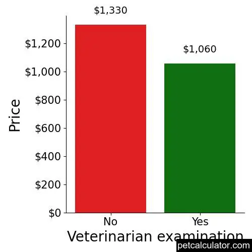 Price of Weimardoodle by Veterinarian examination 