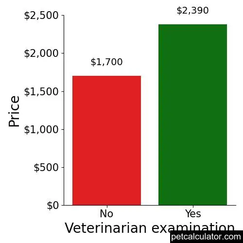 Price of Welsh Terrier by Veterinarian examination 