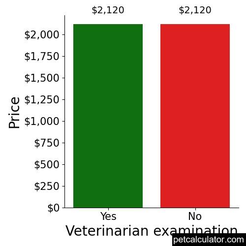 Price of Whippet by Veterinarian examination 