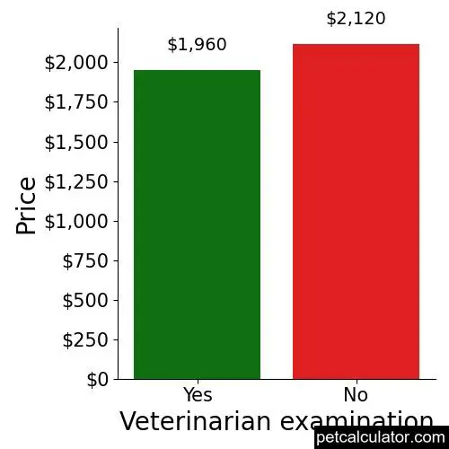 Price of Whoodle by Veterinarian examination 