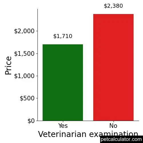 Price of Wire Fox Terrier by Veterinarian examination 