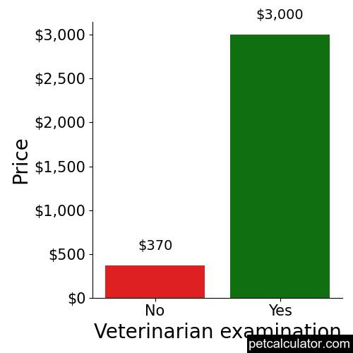 Price of Yorkie Apso by Veterinarian examination 